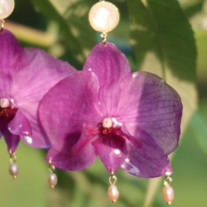 Big Pink Orchid